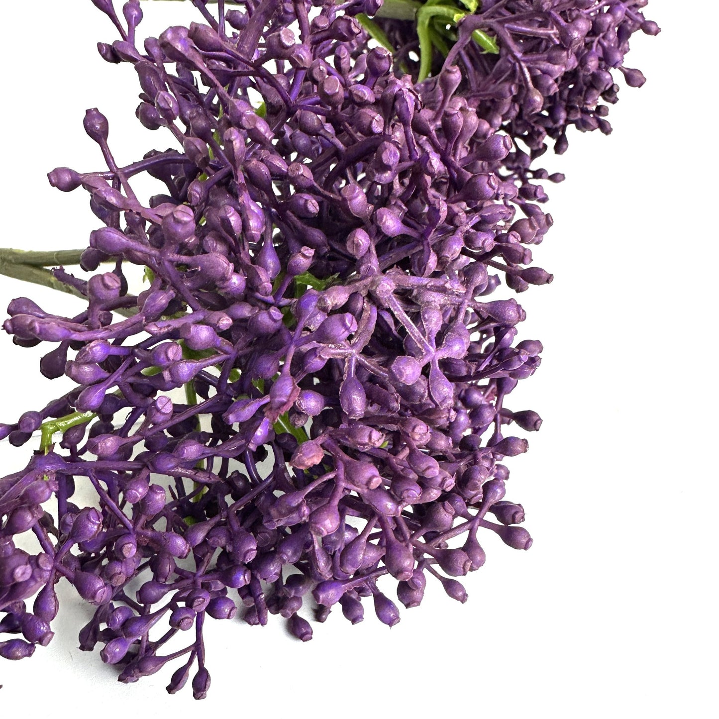 Elderberry Spray 54cm Tall Purple Berries