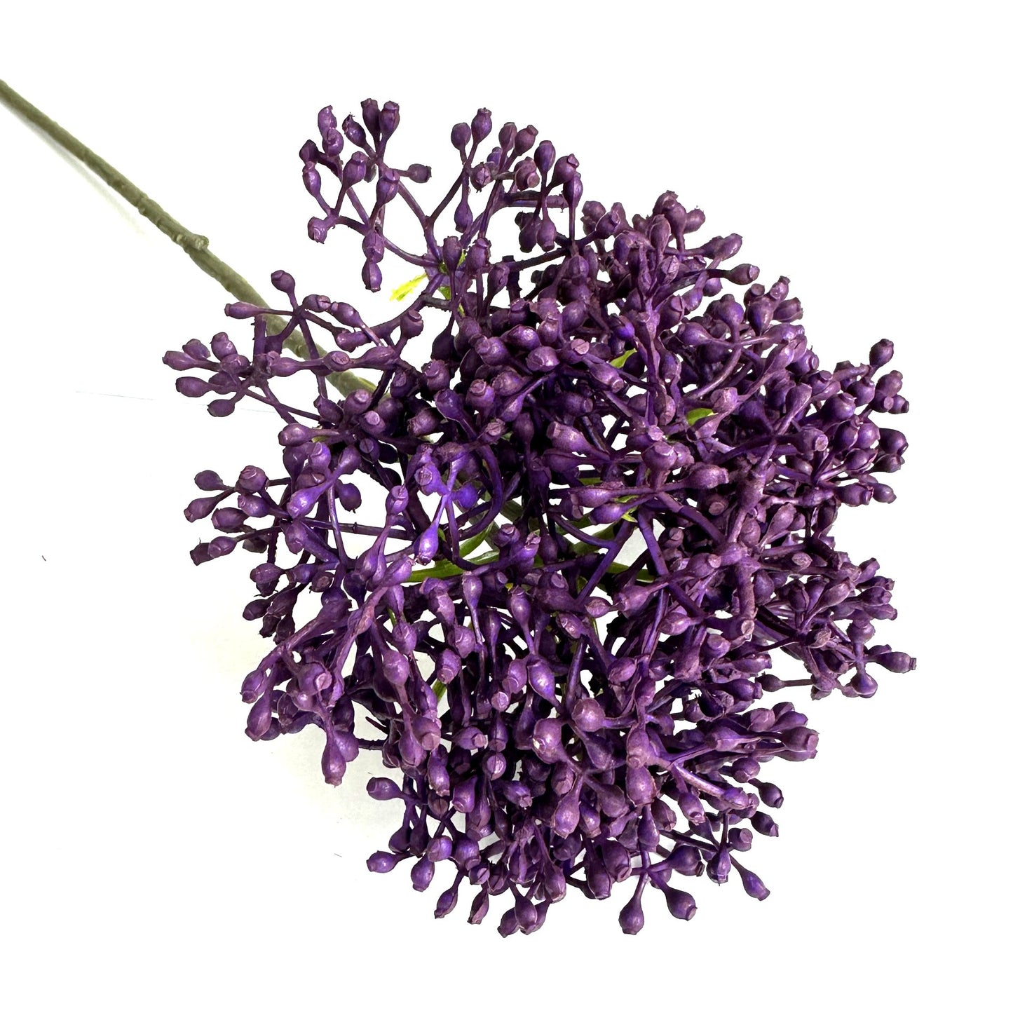 Elderberry Spray 54cm Tall Purple Berries
