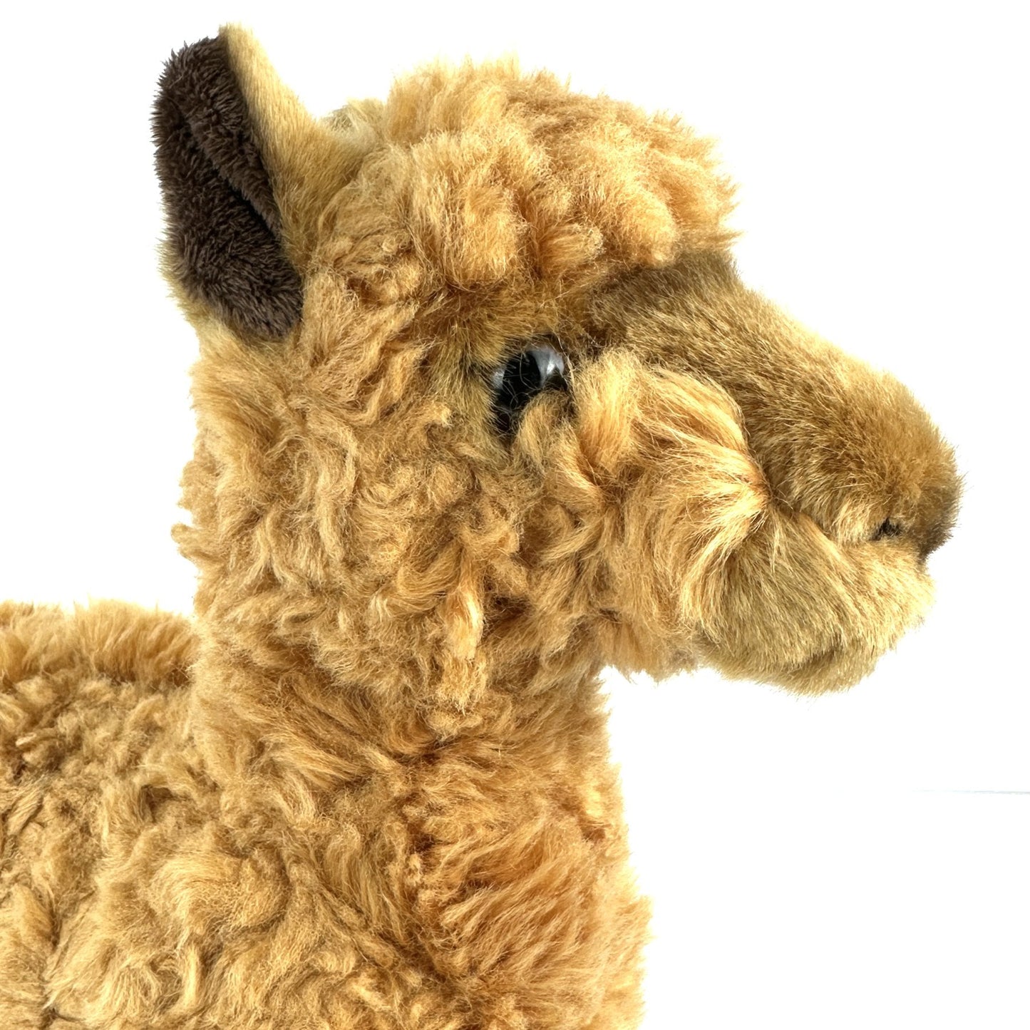 28cm Alpaca Soft Toy