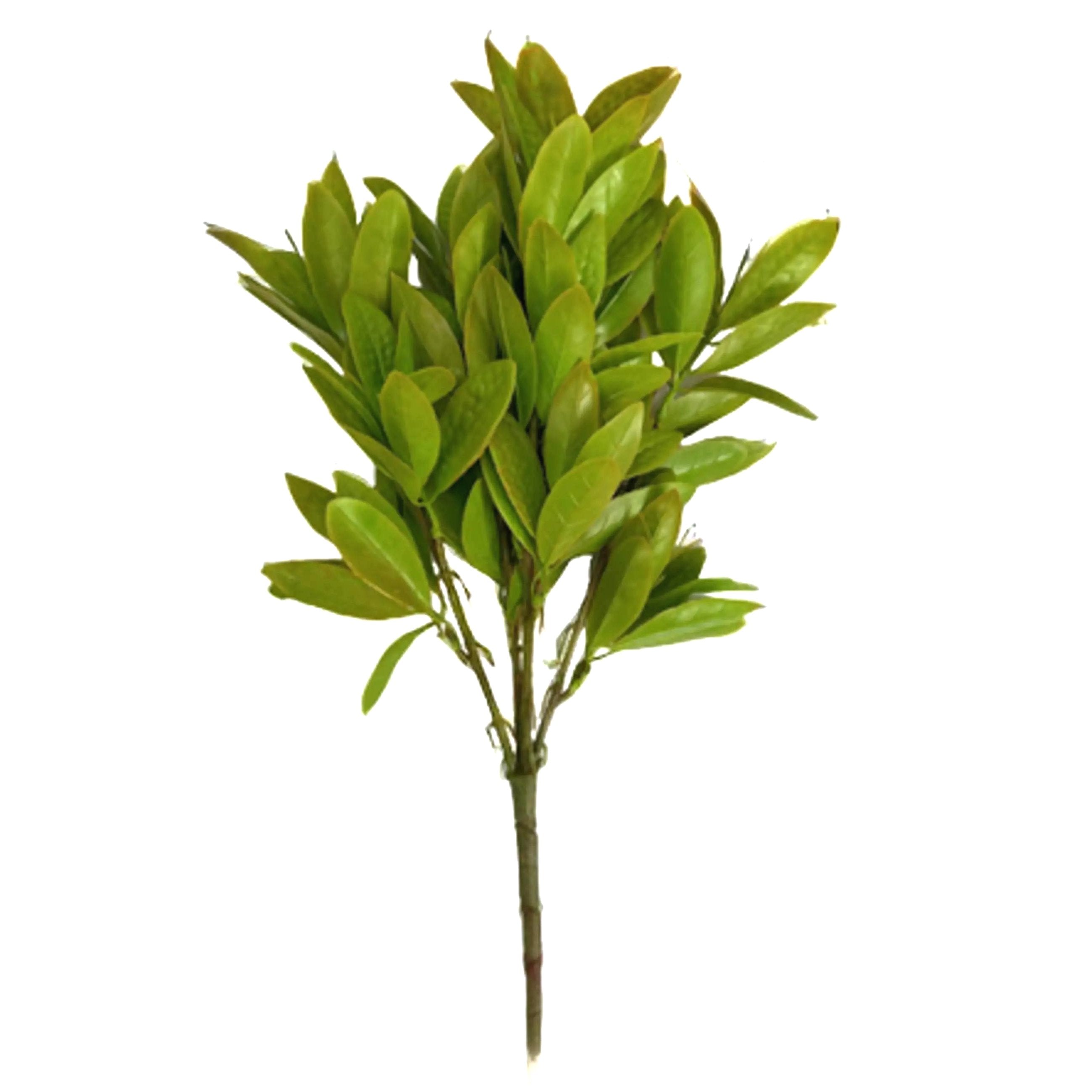 Artificial Faux Bay Leaf Plant Faux Foliage Devon Artificial