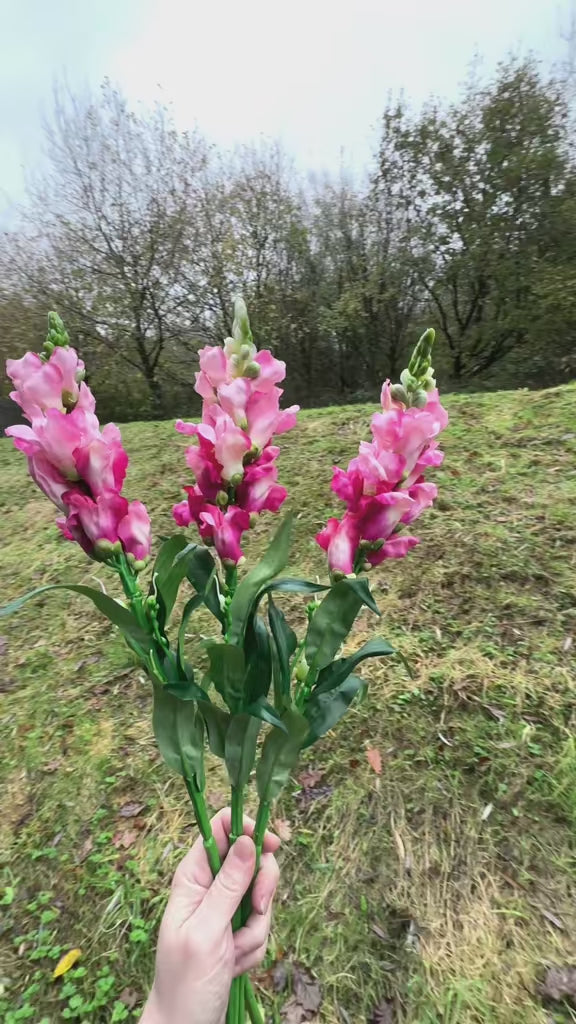 Artificial Pink Snapdragon Flower Stem