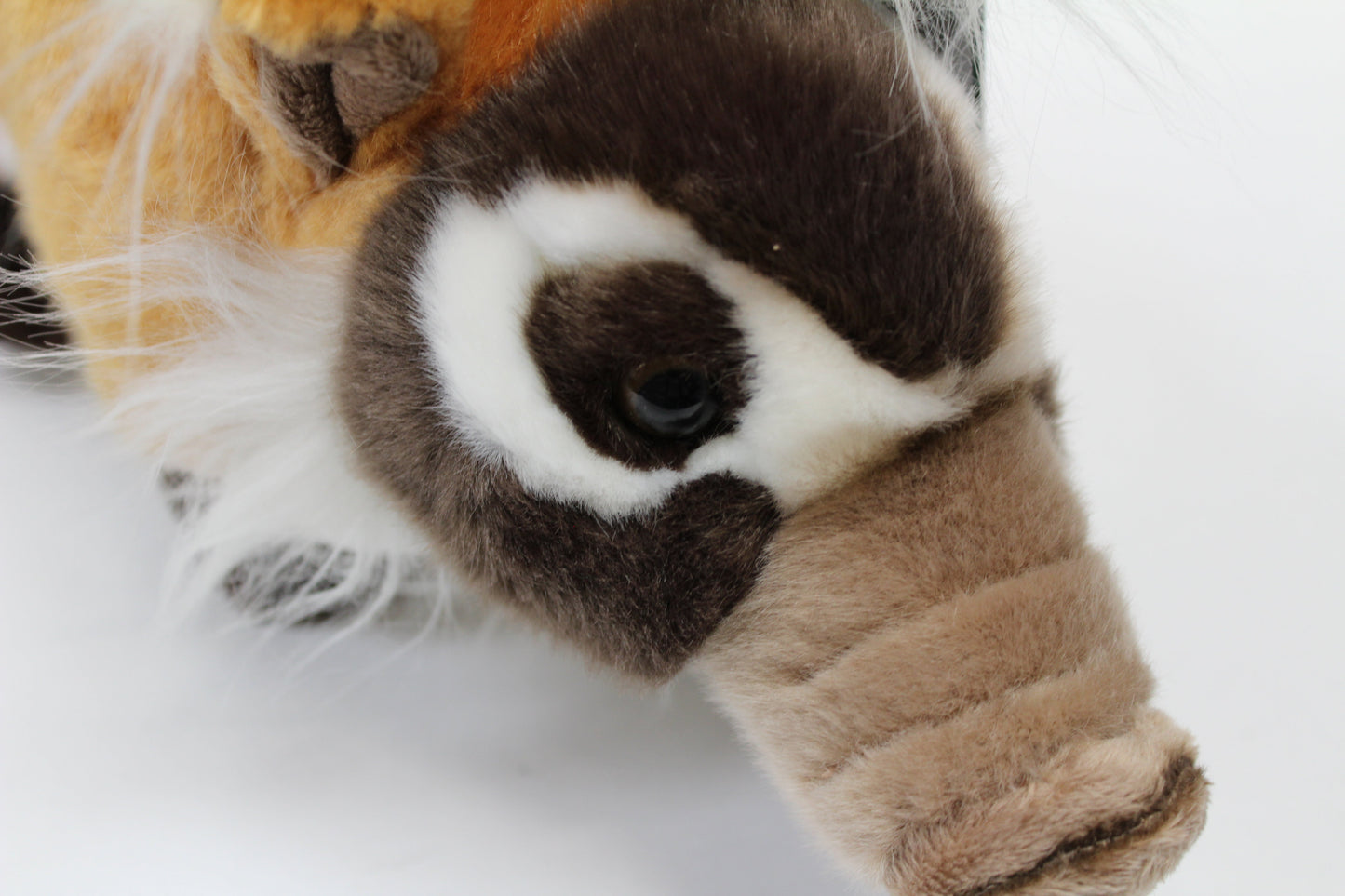 28cm Red River Hog Cuddly Soft Toy