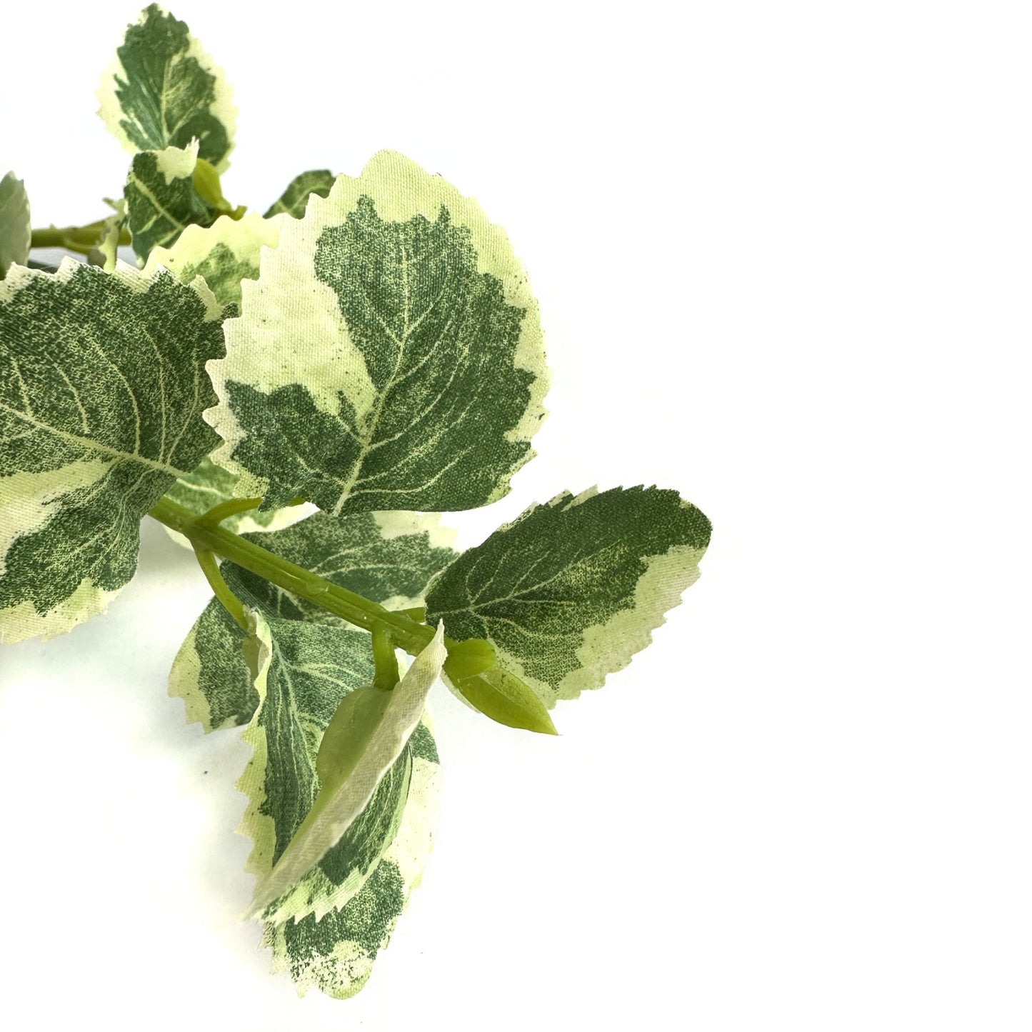 Artificial Variegated Patchouli Leaf Spray 31cm