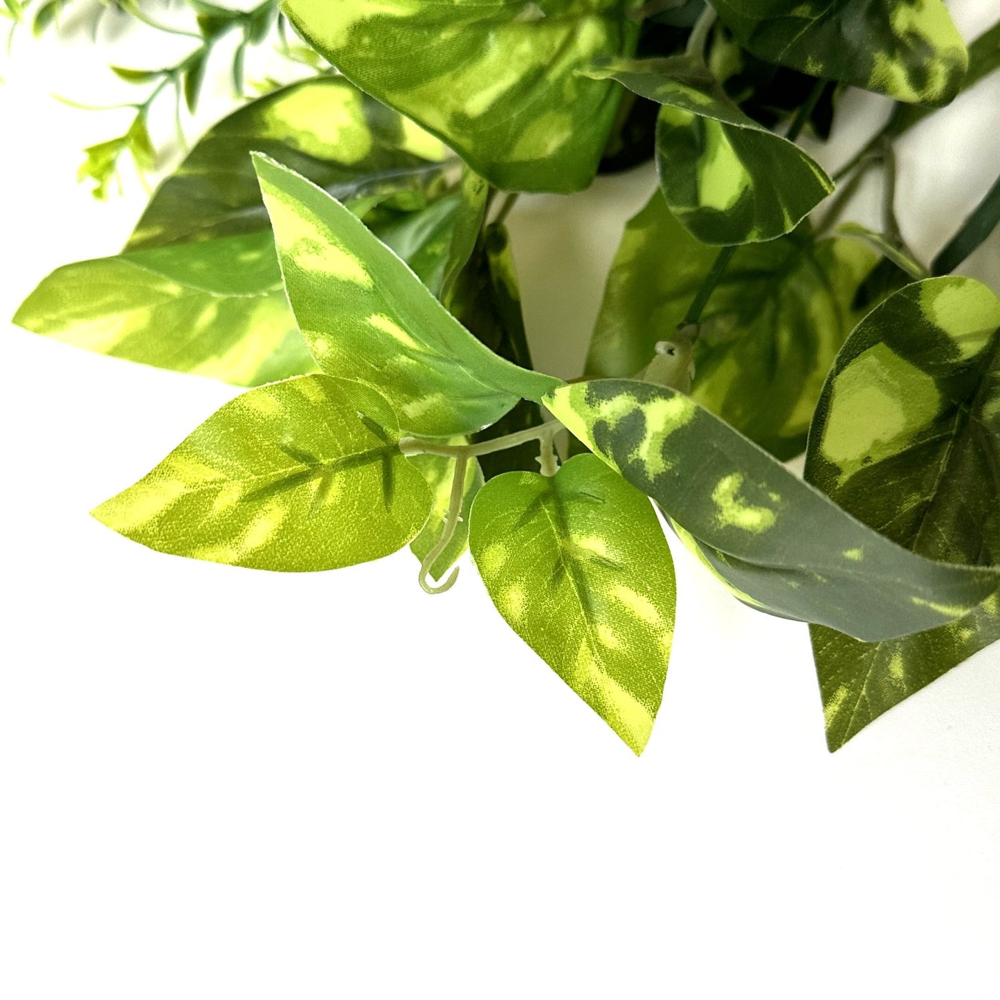 Artificial Plant 3pc Pack - Pothos, Tea Leaf and Sword Grass Bushes
