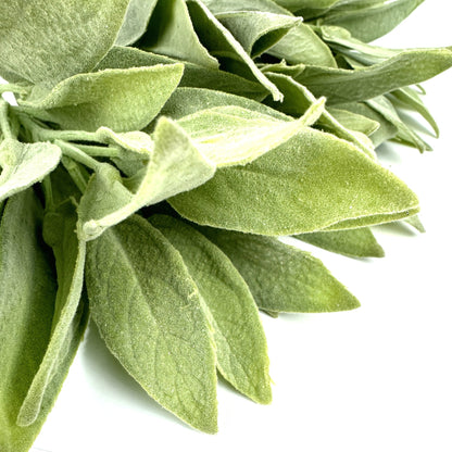 Artificial Sage Pale Green Leaf Spray Flocked Leaves 32cm