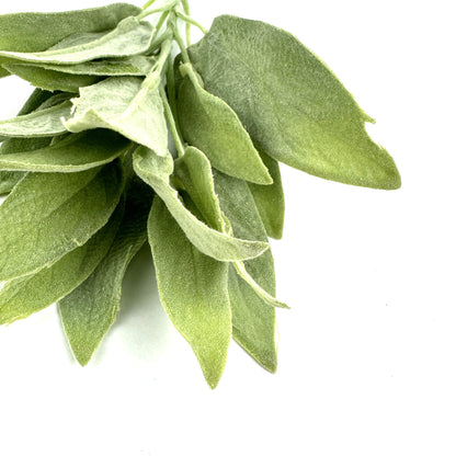 Artificial Sage Pale Green Leaf Spray Flocked Leaves 32cm