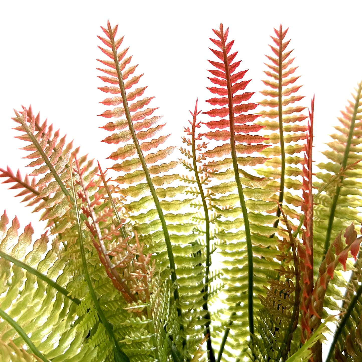 Artificial Red and Green Fern Bush 34cm