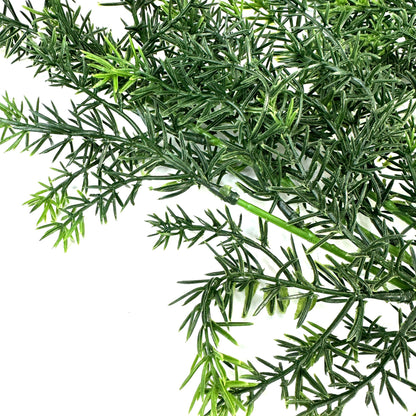 Springeri Fern Plant Foliage Spray 65cm