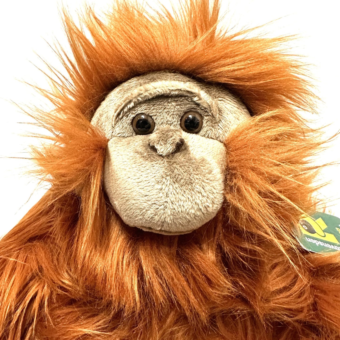 28cm Orangutan Soft Toy