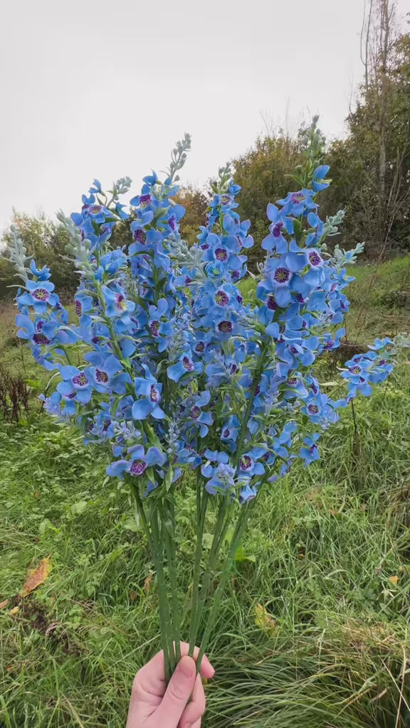 Artificial Blue Catmint Flower Stem