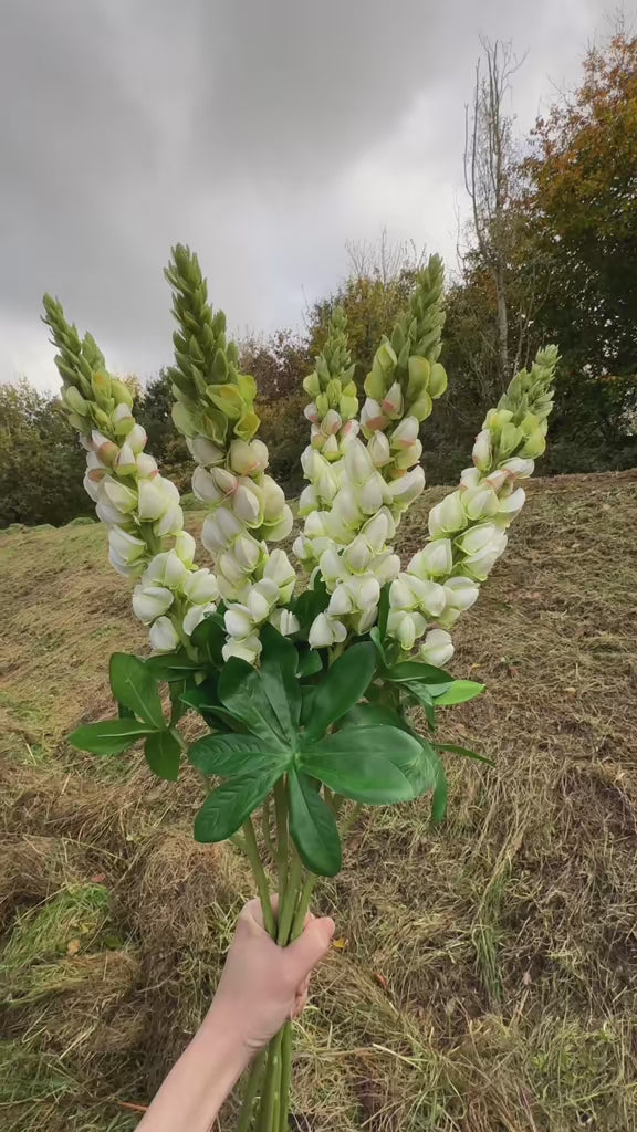 Artificial Cream Lupin Flower Stem