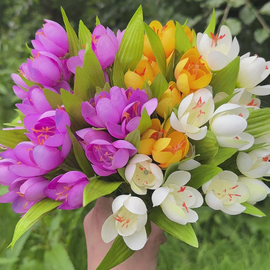 Artificial Crocus Flowers Video
