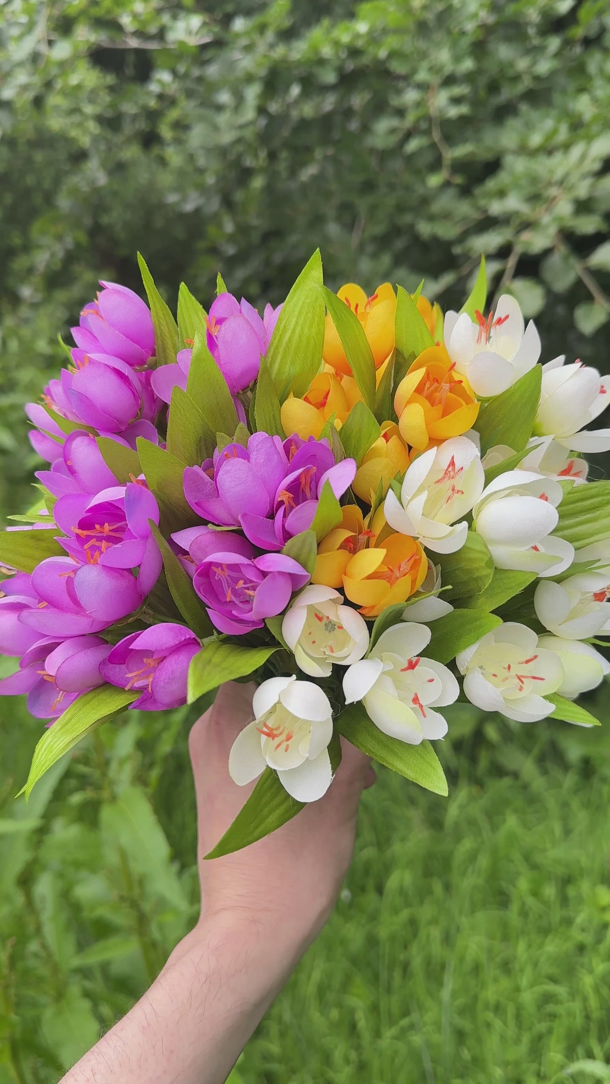 Artificial Crocus Flowers Video