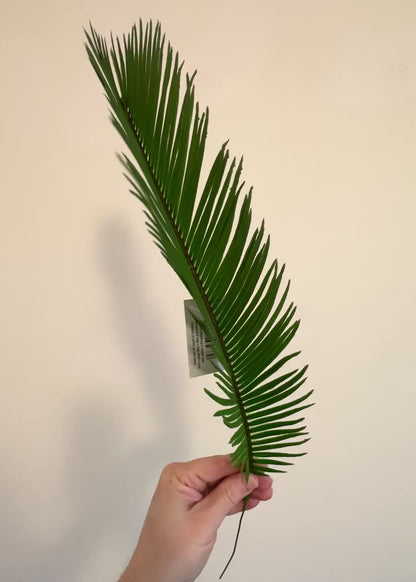Artificial Cycas Palm Leaf