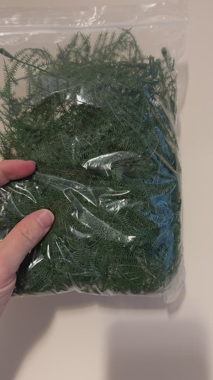100 Artificial Asparagus Fern Sprays 12cm - Dark Green