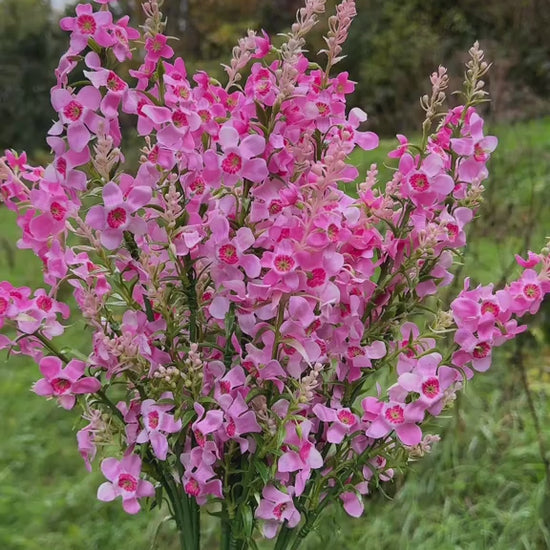 Artificial Pink Catmint Flower Stem