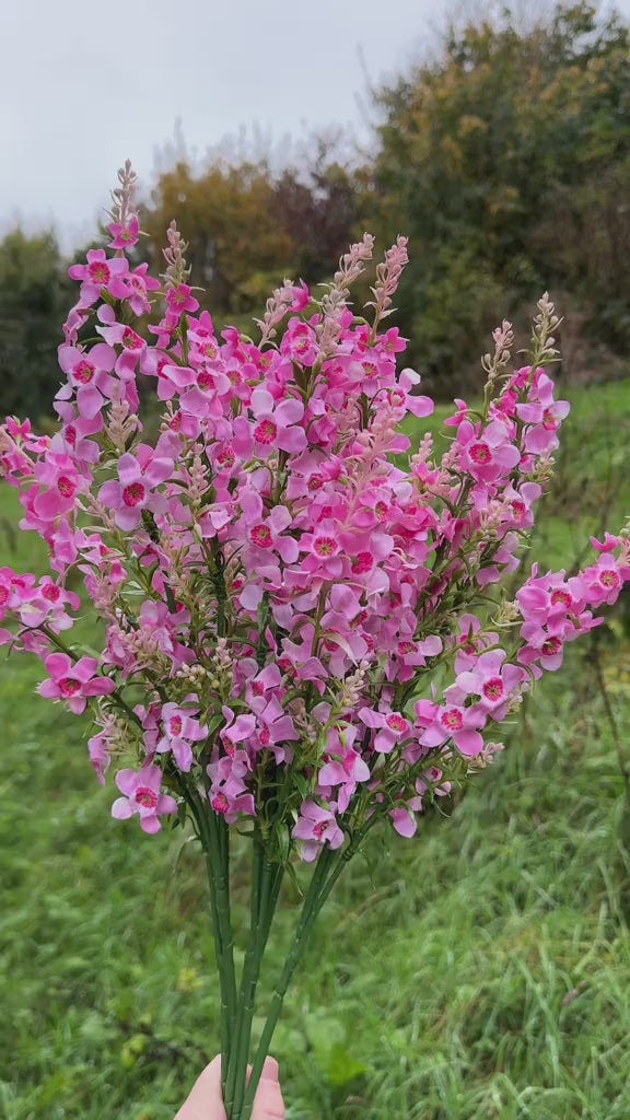 Artificial Pink Catmint Flower Stem
