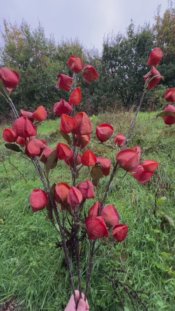 Artificial Chinese Lantern Branch