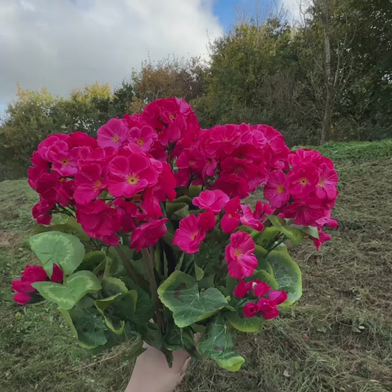 Artificial Pink Geranium Flower Bush