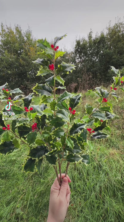 Artificial Variegated Holly Branch with Red Berries 51cm