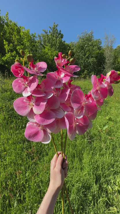 75cm Artificial Pink Phalaenopsis Orchid Flower Stem