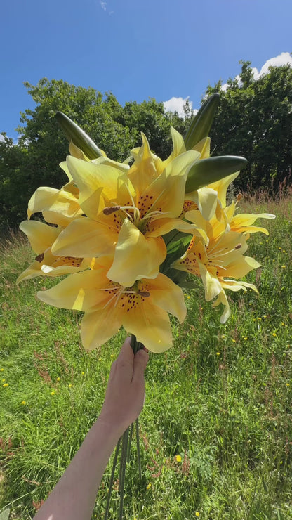 Artificial Lily Lemon Yellow Flower Sprays 66cm