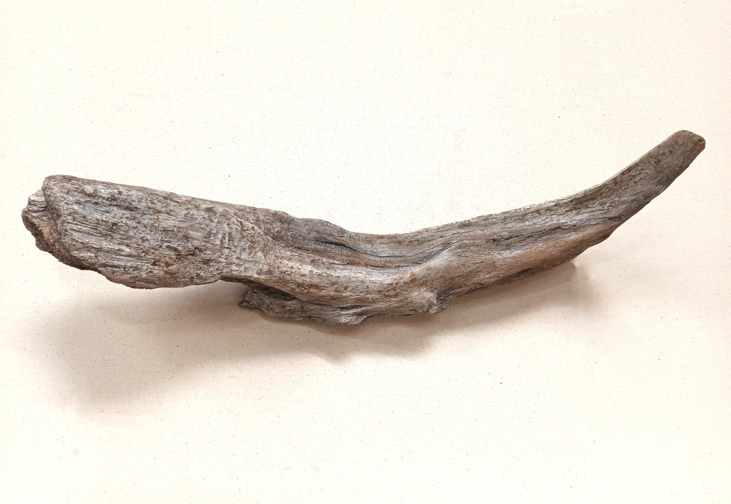 'Rustic Whale' Original Devon Driftwood Wall Art