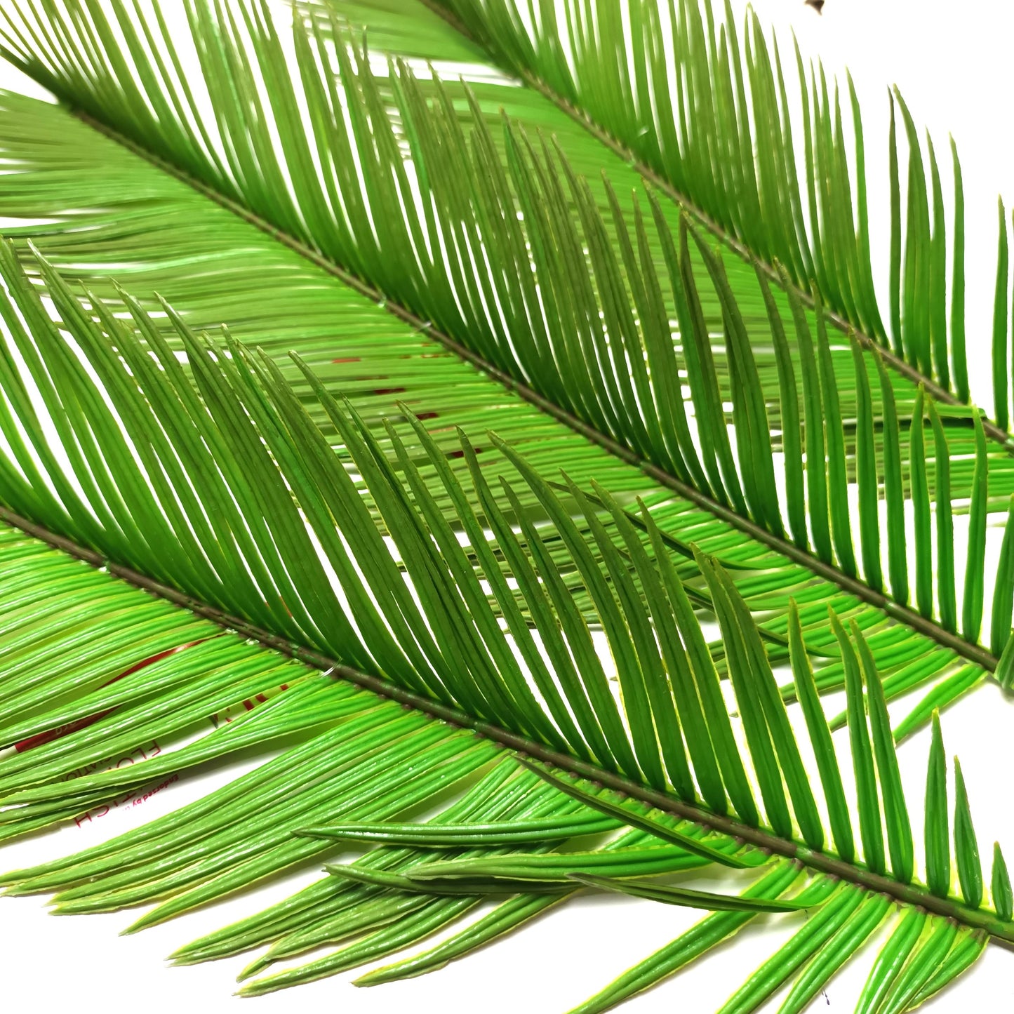 Artificial Cycas Palm Leaf