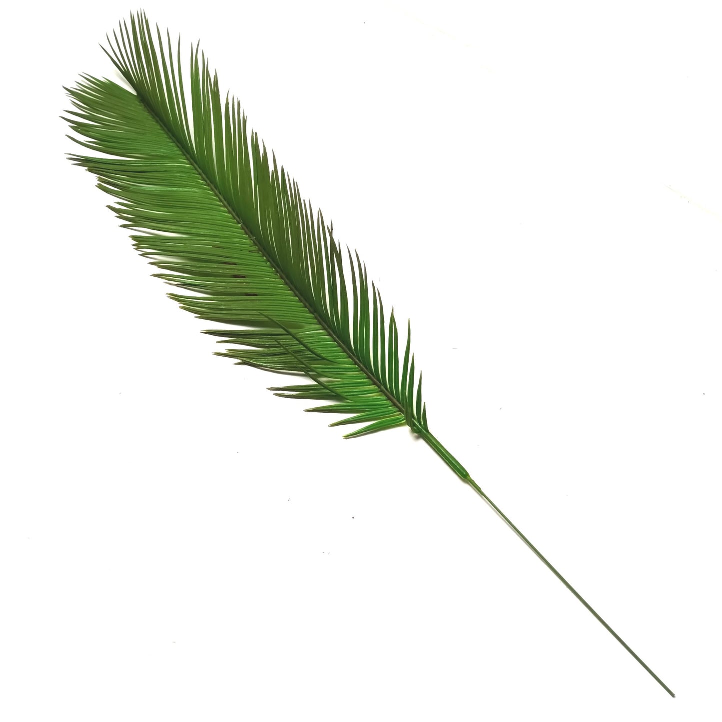 Artificial Cycas Palm Leaf