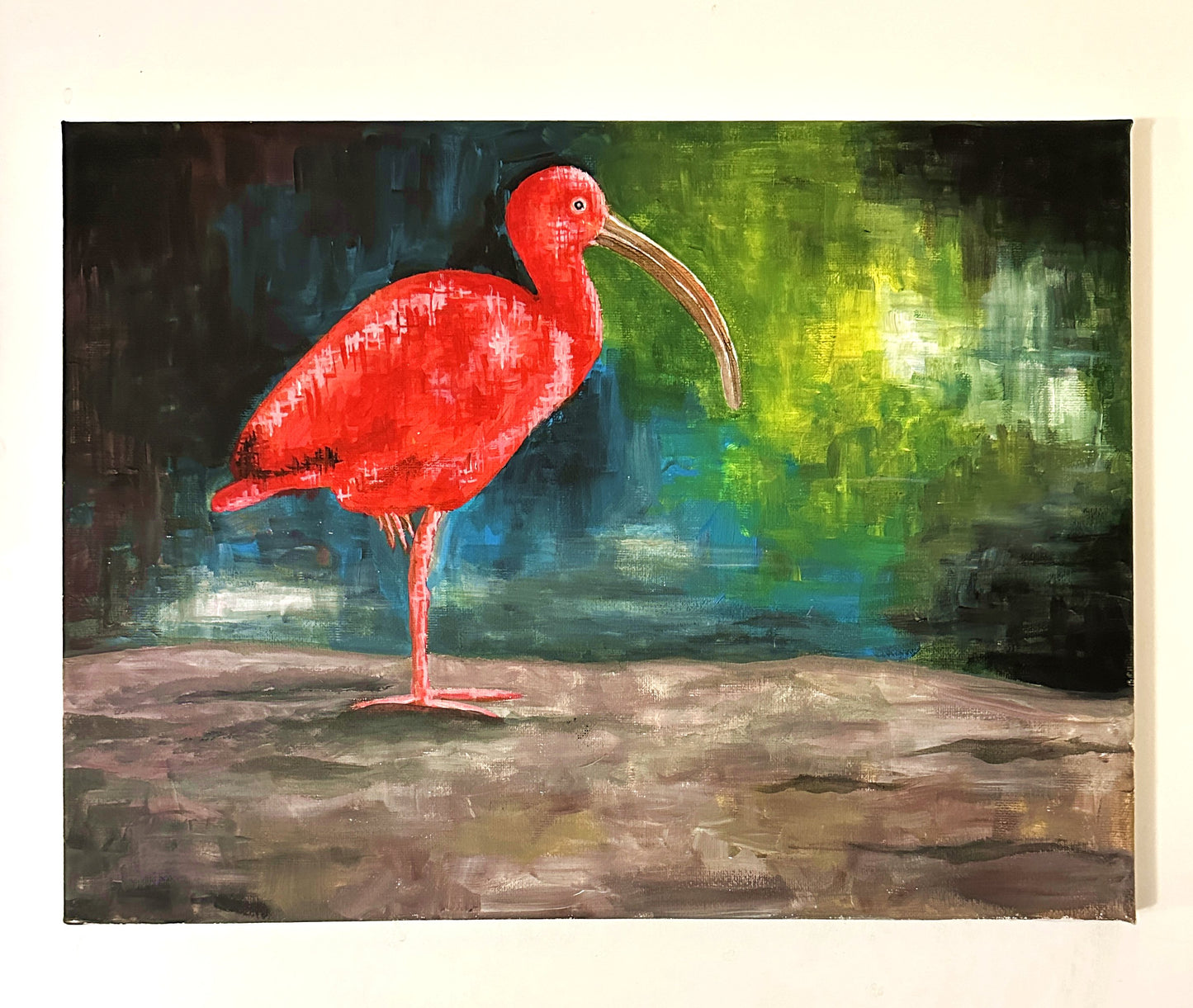 Red Ibis