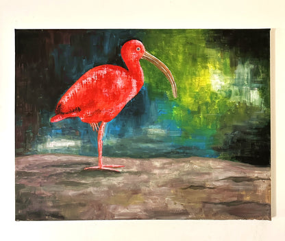 Red Ibis