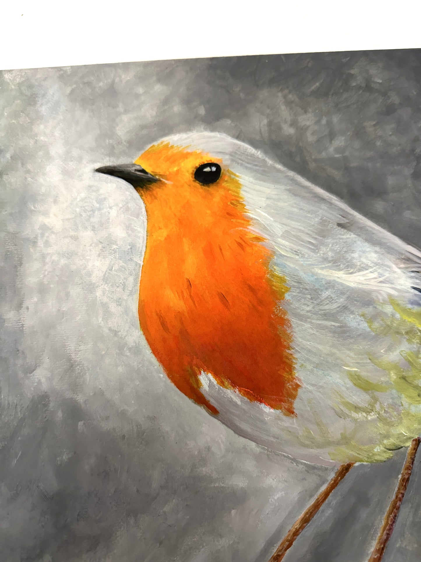 Robin