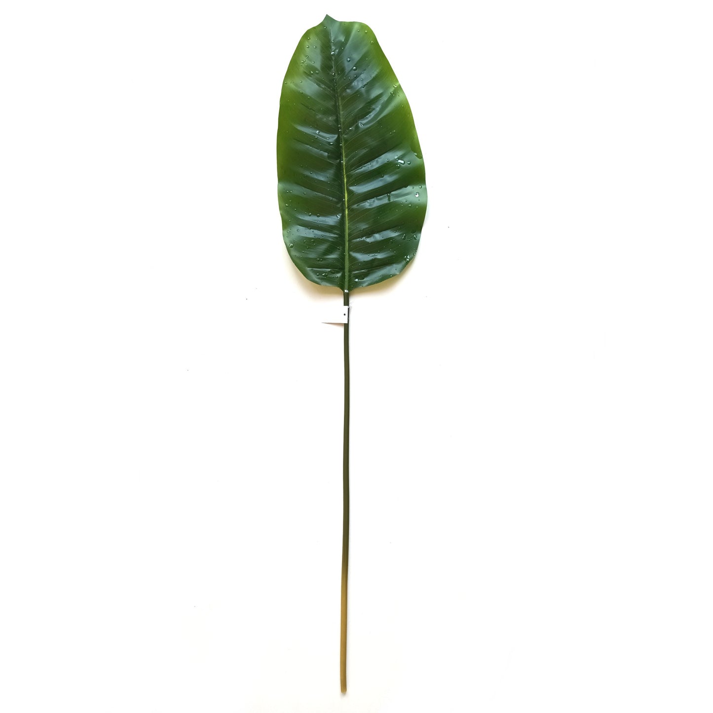 Artificial Banana Leaf With Raindrops