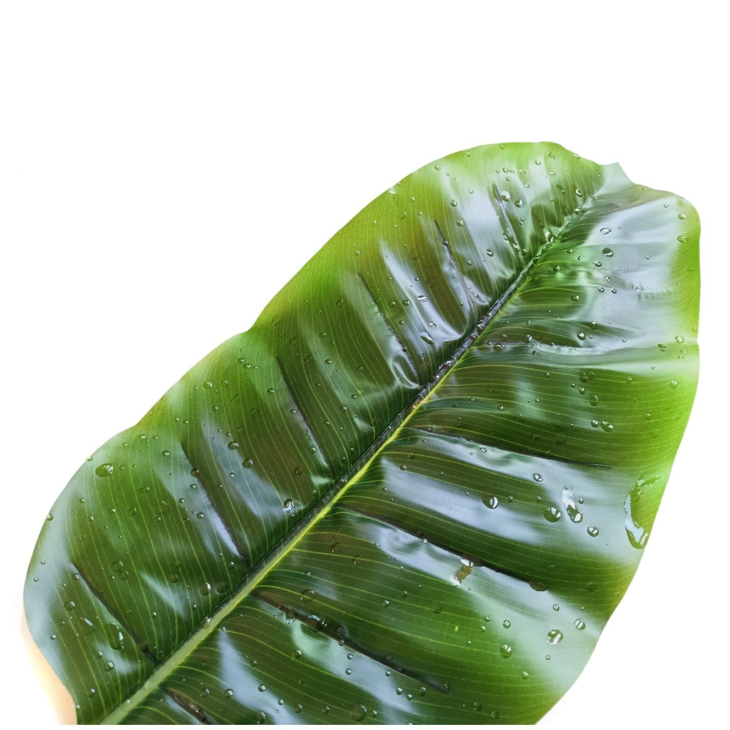 Artificial Banana Leaf With Raindrops