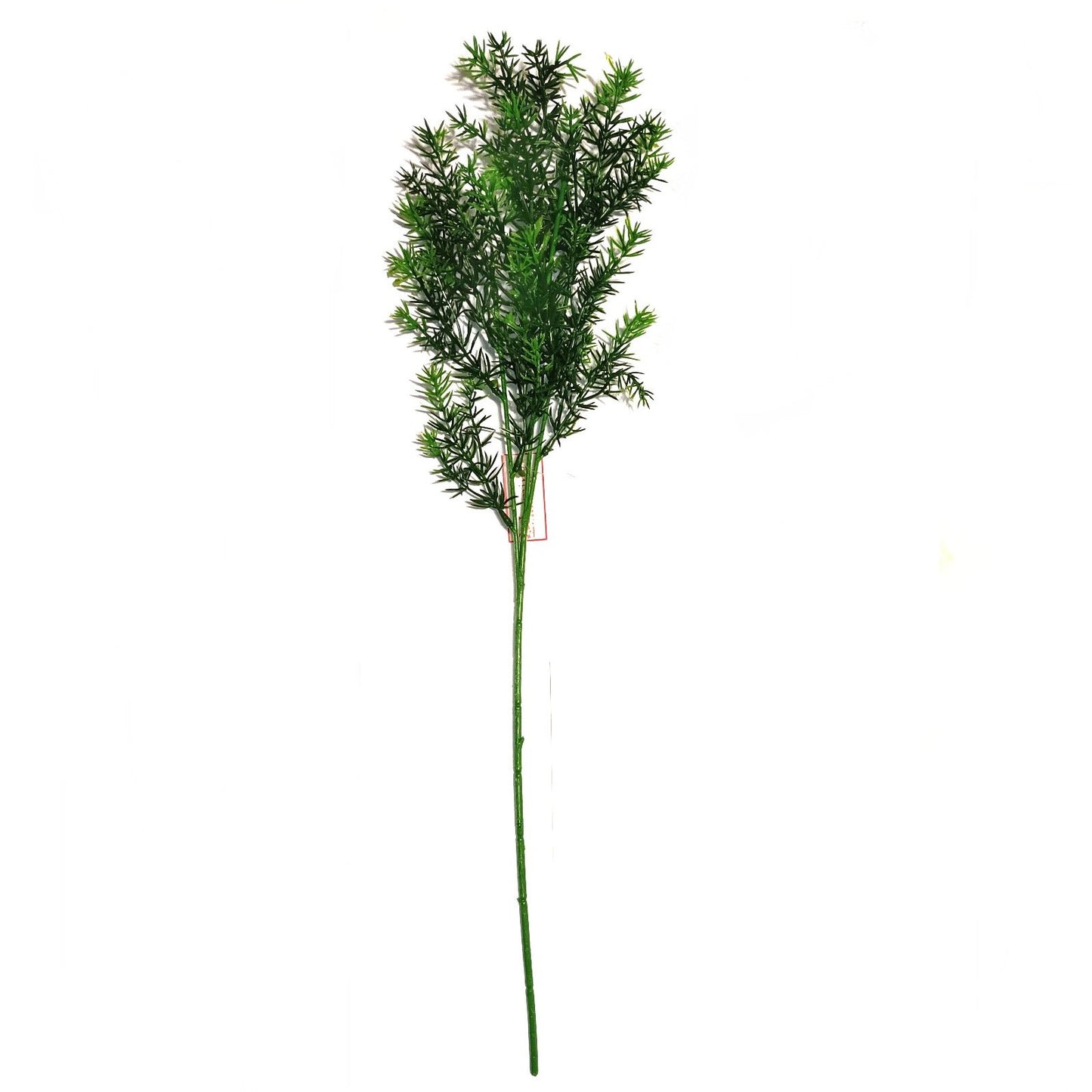 Springeri Fern Plant Foliage Spray 65cm