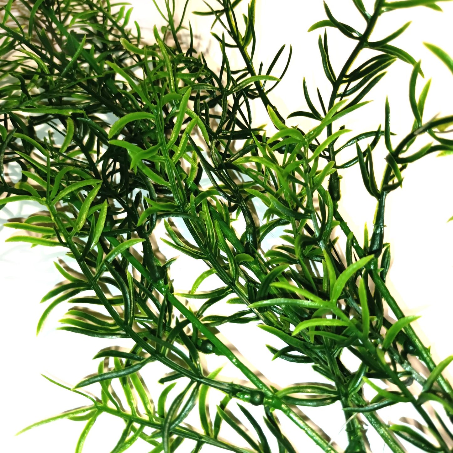 Artificial Springeri Fern Foliage Spray 75cm